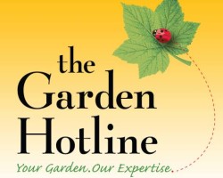 Garden Hotline from Facebook